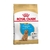 ROYAL CANIN CANICHE TOY JUNIOR