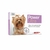 Pipeta Power para perro de 2 a 4 kg - comprar online