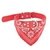 COLLAR CON PAÑUELO BANDANA (EXTRAGRANDE) - comprar online