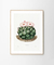 Cuadro Cactus #004