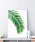 Cuadro Palm Leaf