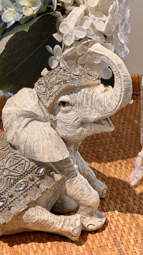 Elefante Blanco