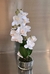 Orquídea Zoe 42 cm