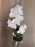 Orquídea Zoe 42 cm en internet