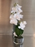 Orquídea Zoe 42 cm - Cielo y Tierra