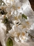 Rama Flores Blancas - comprar online