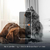 Comedero Inteligente Para Mascota Nexxt Solutions Smart Wifi Cam Audio NHA-P610 en internet