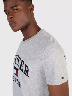 Camiseta Masculina Tommy Hilfiger Cinza - TH0256 - Tamanho P - Modelagem Grande na internet