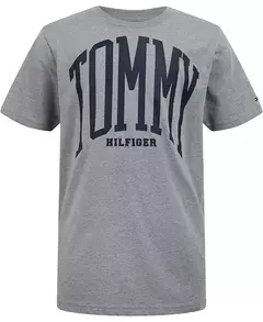 Camiseta Tommy Hilfiger Infantil Cinza - TH9798- Tamanho 7 anos