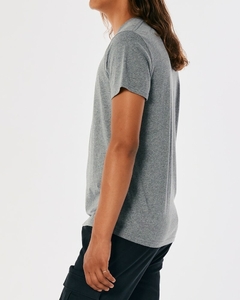 Camiseta Hollister Cinza - Masculina - Tamanho G na internet