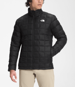 Jaqueta Ultraleve The North Face Masculina Preta - Tamanho G na internet