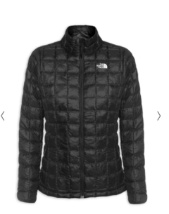 Jaqueta Ultraleve The North Face Feminina Preta - Tamanho M - comprar online