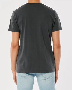 Camiseta Hollister Cinza- Masculina - H7762- Tamanho GG na internet