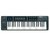 MIDIPLUS BK492 TECLADO MIDI USB 4 OCTAVAS SENSITIVO LCD - comprar online