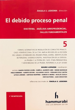 ANGELA E. LEDESMA (DIR.) El debido proceso penal, vol. 5