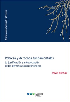 Pobreza y derechos fundamentales- Bilchitz, David