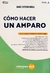 Cómo hacer un Amparo en la Ciudad de Buenos Aires Brola Daniel Esteban