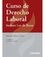 Curso de Derecho Laboral 2°ed. Eduardo O. Schiel