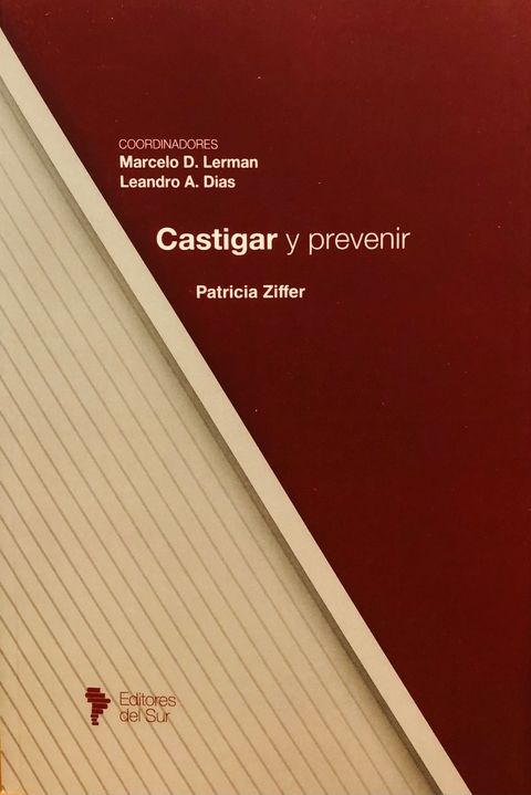 Castigar y prevenir - Ziffer, Patricia (Autora)