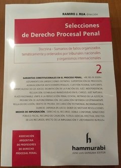Selecciones de Derecho Procesal Penal, vol. 2 - RAMIRO J. RUA (DIR.)
