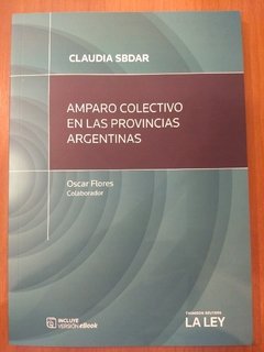 AMPARO COLECTIVO EN LAS PROVINCIAS ARGENTINAS Autor: CLAUDIA SBDAR - comprar online