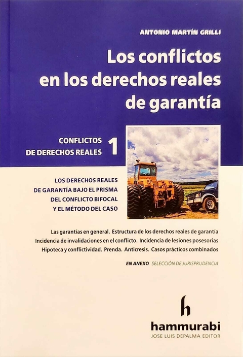 Los conflictos en los derechos reales de garantíaGrilli -