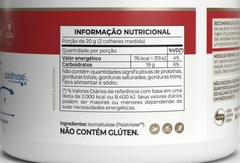 Palatinose pote 300g - Vitafor - comprar online