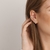Kit Brinco Ear Hook 2 Fileiras E Piercing De Zirconias Cristal - comprar online