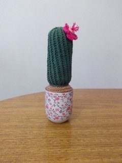 Patrón Cactus Tunecino y Crochet en internet