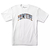 Camiseta Primitive Collegiate Aquatic White