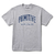 Camiseta Primitive Collegiante Wordwide Gray