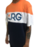 Camiseta Lrg Block Multicolor - comprar online