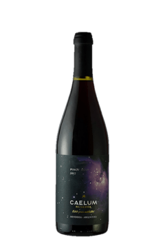 Caelum Gran Reserva Pinot Noir