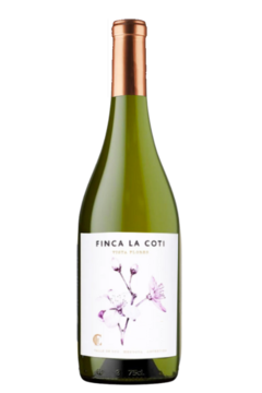 Finca La Coti Chardonnay