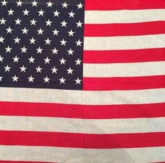 Pañuelo Bandera USA