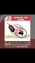 TORNO COLGANTE CON MOTOR DE 1/4 HP DE 25000 RPM REFORZADO TOWASHI - comprar online