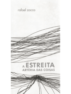 A Estreita Artéria das Coisas