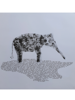 Bicho Tipográfico - Elefante [PÔSTER]