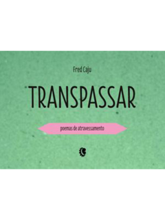 Transpassar: poemas de atravessamento