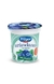 Yogur Descremado Con Arandanos - 160 Gr - Tregar