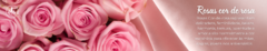 Banner da categoria Rosas cor de rosa