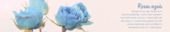 Banner da categoria Rosas azuis