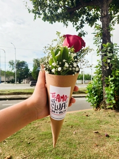 Cone Amor de Rosa Vermelha na internet