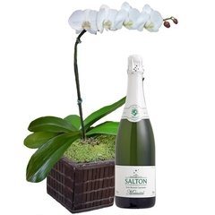 ORQUIDEA BRANCA e Salton Moscatel