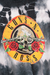 Buzo Guns N Roses Logo Acid - comprar online