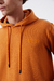 Hoodie James Camel - comprar online