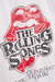 The Rolling Stones 17 Junio - comprar online