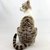 gato-tigrado-pelucia-decoração-festa-mesa-infantil