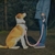 Coleira Refletiva De Nylon Reforçada Para Cães De 1,20 Mts na internet