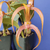 Orquídea Bulbophyllum Jersey- Tam.2